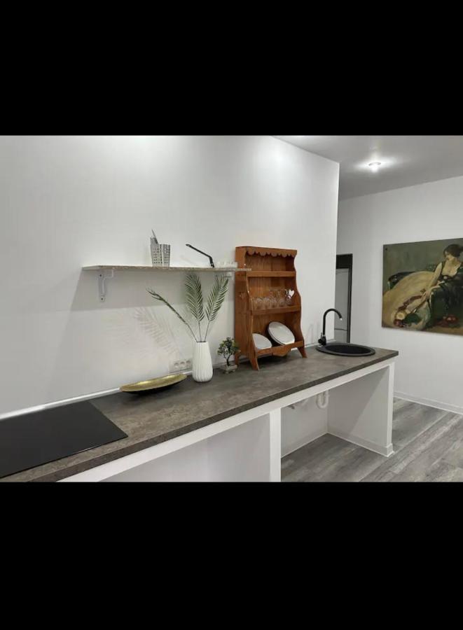 Piata Libertatii Apartament 1 Room Timişoara Buitenkant foto