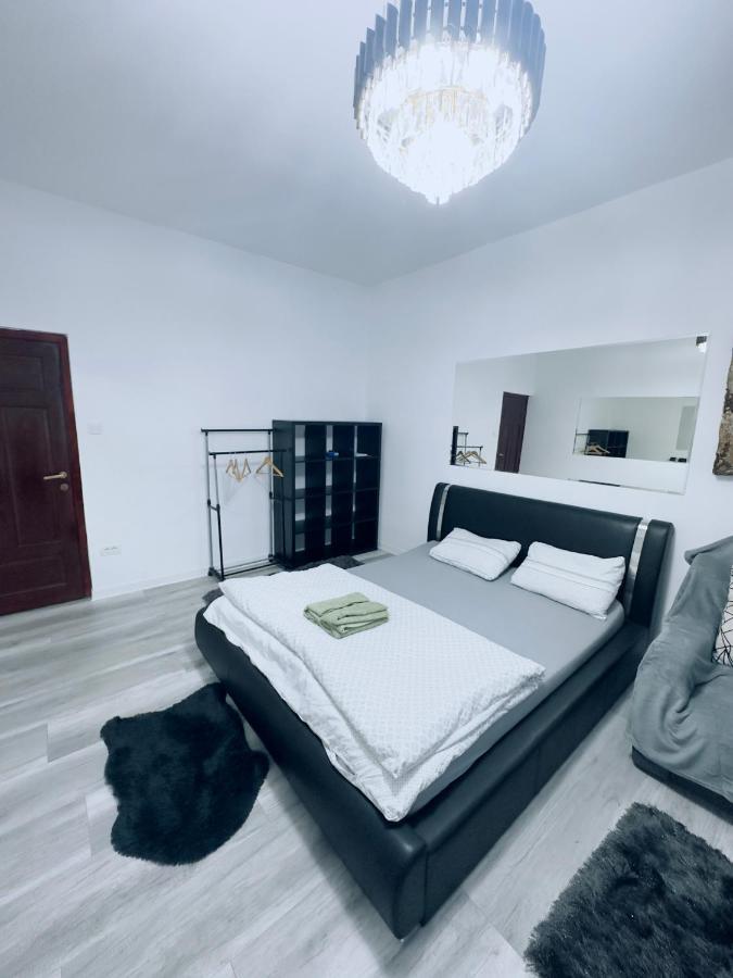 Piata Libertatii Apartament 1 Room Timişoara Buitenkant foto